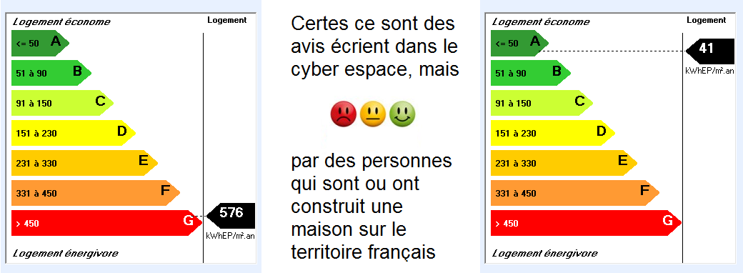 Avis